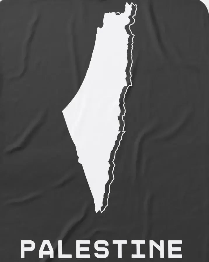 Palestine Map Flag Hoodie